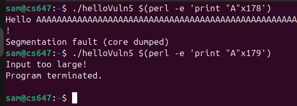 Raw Execution Screenshot
