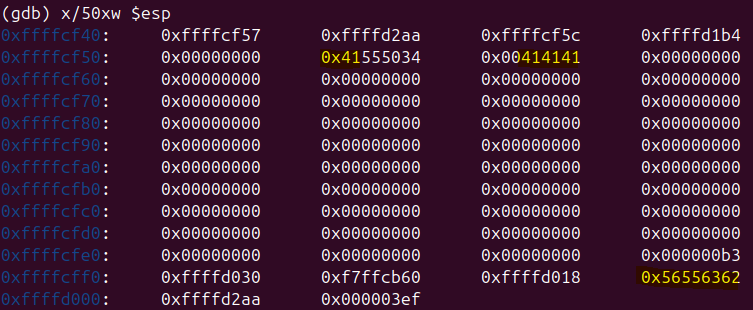 Raw Execution Screenshot