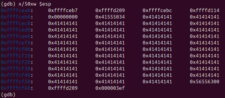 Raw Execution Screenshot
